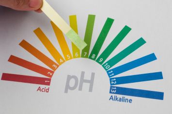 Une bandelette de test de PH devant son indicateur de colorimétrique