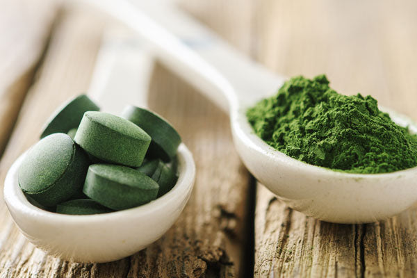 De la chlorella dans des cuillères blanches