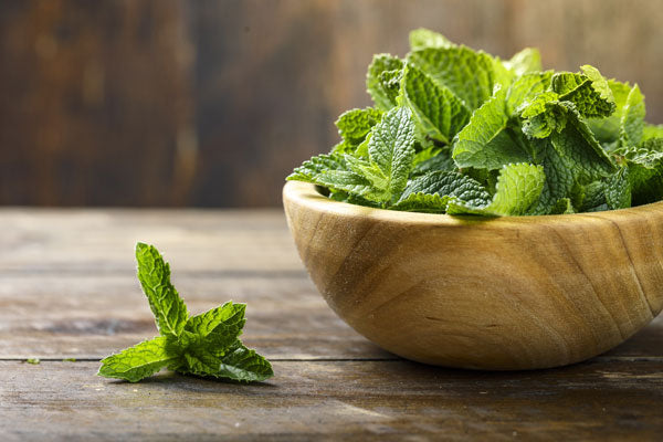 La menthe pour la digestion et les nausées