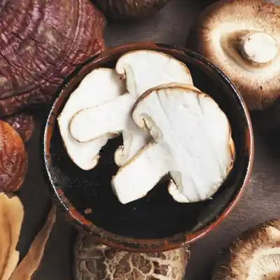 Champignons médicinaux