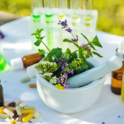 Plantes pour gemmothérapie