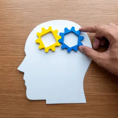 Fonctions cognitives