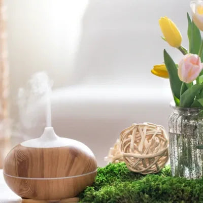 Diffuseur d’huiles essentielles avec fleurs et décoration naturelle, pour illustrer l’assainissement de l’atmosphère et le bien-être à la maison.