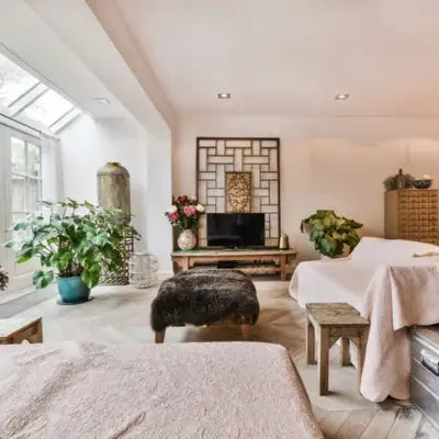 Salon lumineux avec plantes et décoration naturelle, pour illustrer les produits destinés à la maison et au bien-être intérieur.