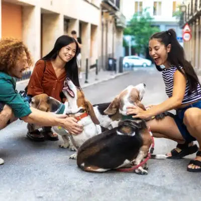 Personnes caressant plusieurs chiens en extérieur, pour illustrer les produits naturels destinés aux animaux.
