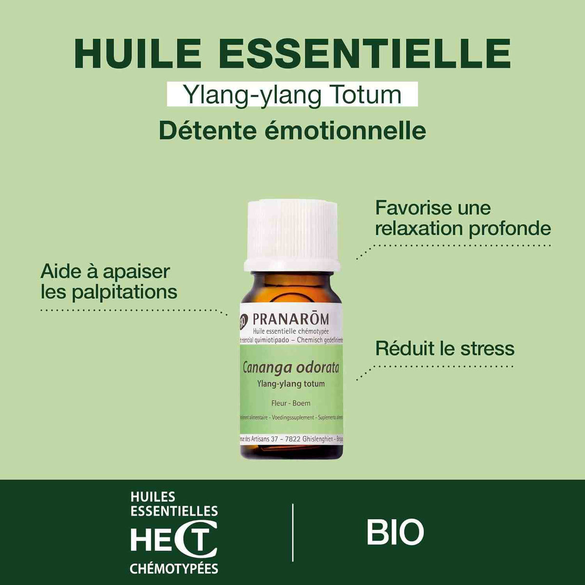 les bienfaits de l'Huile essentielle bio de ylang-ylang totum Pranarom