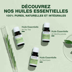 tout la gamme d'Huile essentielle bio Pranarom