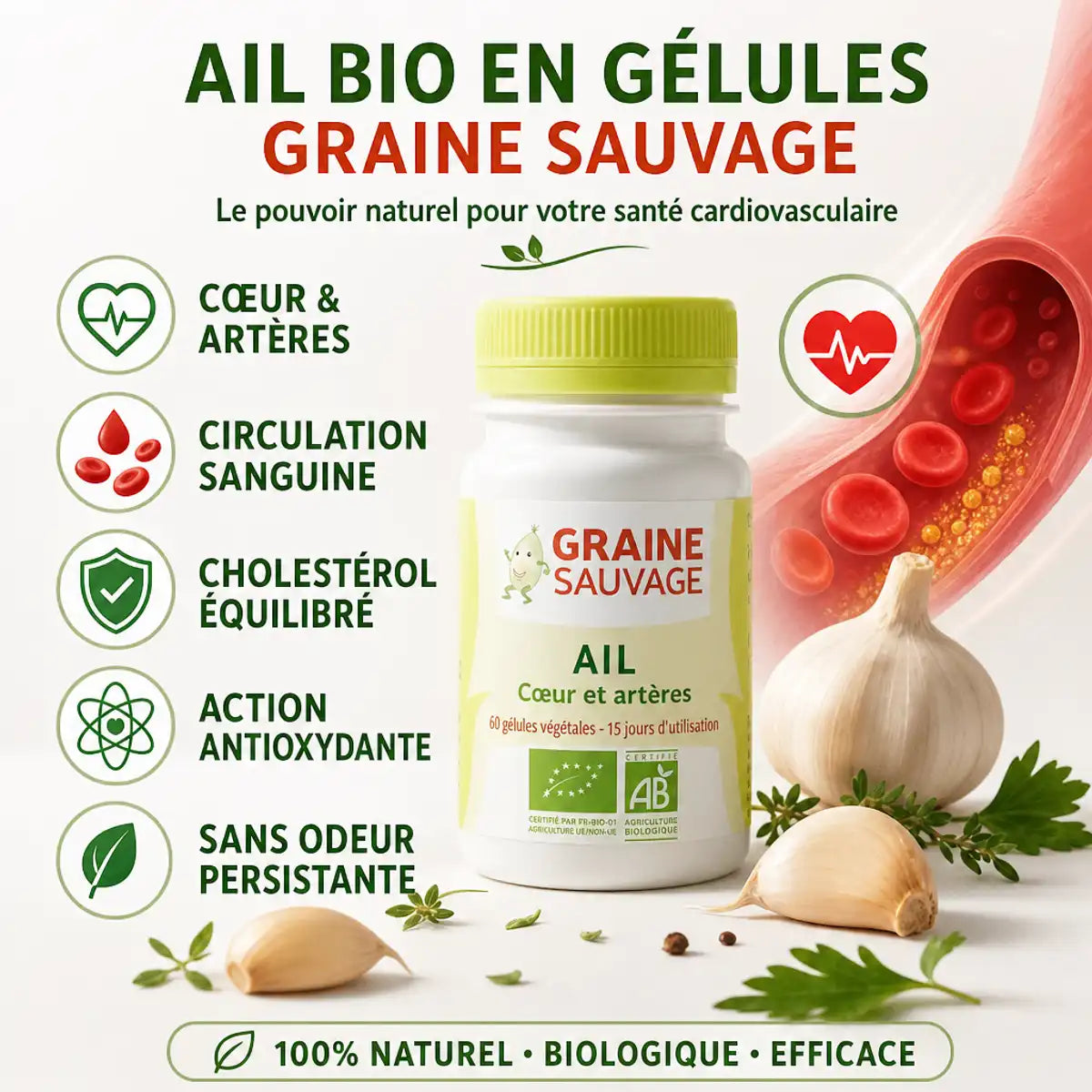 Ail Bio en gélules Graine Sauvage avec bénéfices santé : cœur, circulation, cholestérol, antioxydant