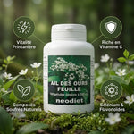 Complément Ail des Ours en gélules avec ses bénéfices: vitalité, vitamine C, composés soufrés et antioxydants
