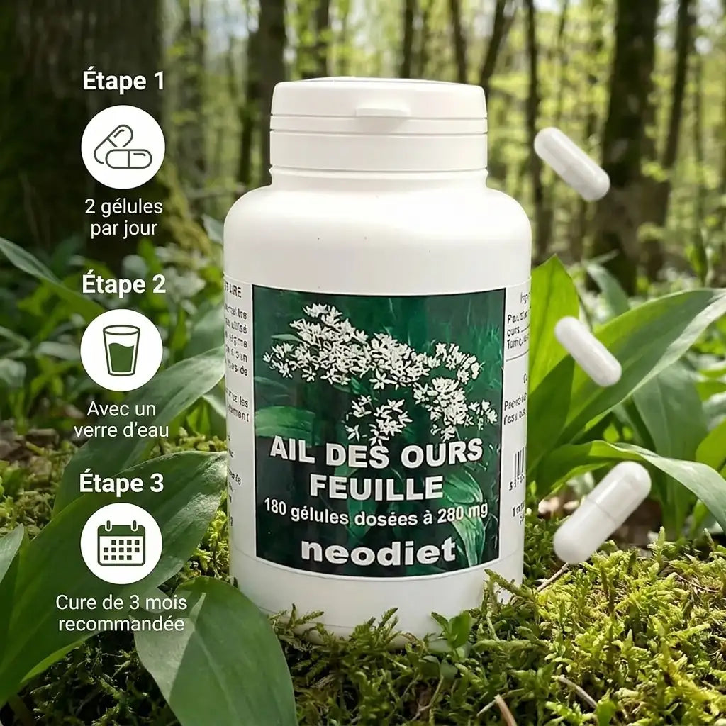 Bouteille Neodiet Ail des ours 180 gélules avec posologie 2 gélules par jour et cure 3 mois