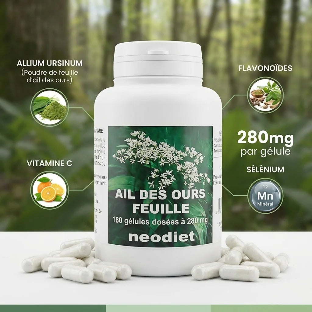Gélules Ail des Ours Neodiet 280mg avec ingrédients clés: vitamine C, flavonoïdes et sélénium