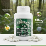 Gélules Ail des Ours Neodiet 280mg avec ingrédients clés: vitamine C, flavonoïdes et sélénium