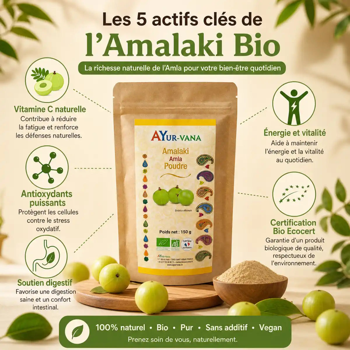 Amalaki Bio en poudre Ayurvana avec fruits amla et infographie des bénéfices nutritionnels