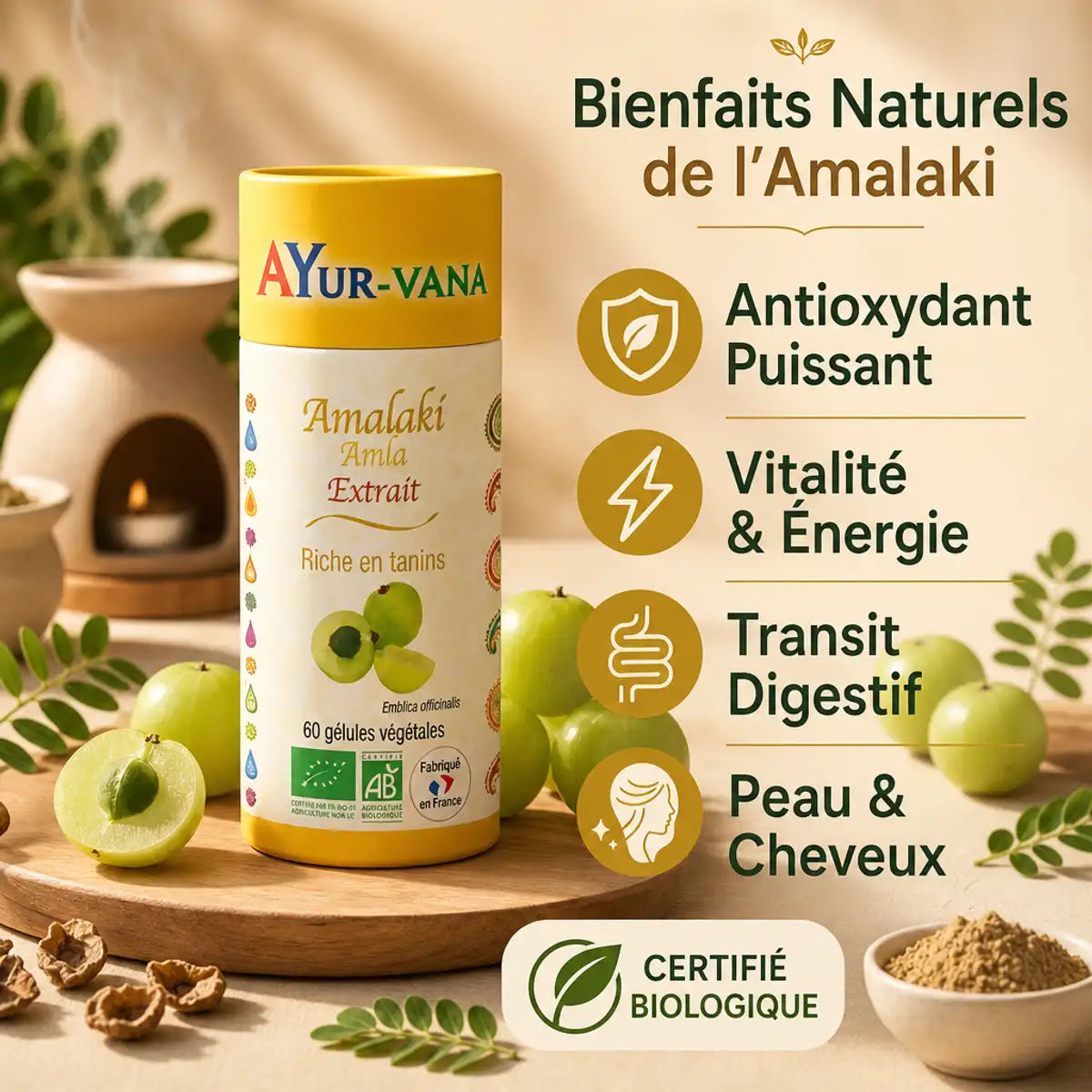 Amalaki bio gélules Ayurvana antioxydant vitalité énergie transit digestif peau cheveux