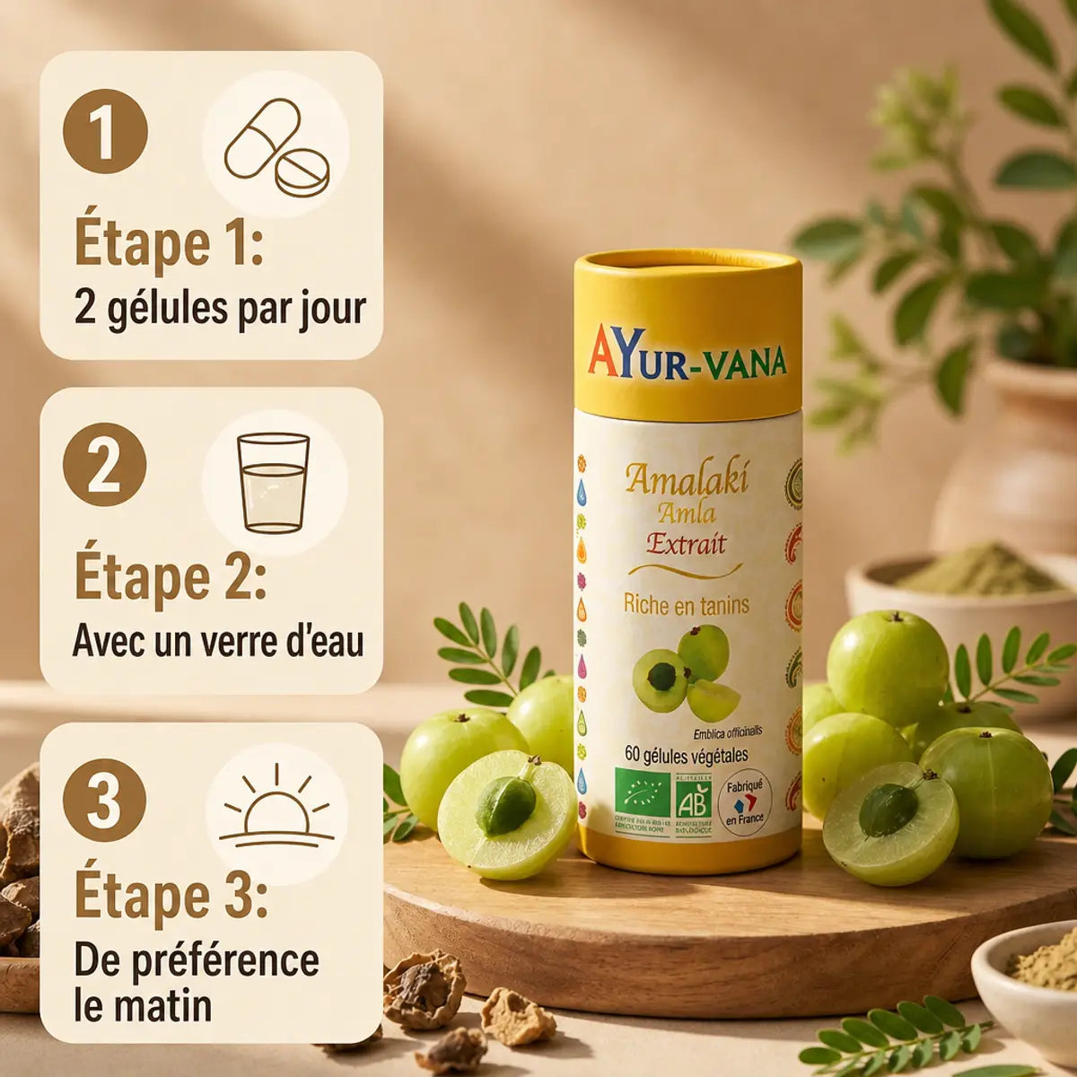 Amalaki bio Ayurvana gélules avec fruits amla frais, dosage et mode d'emploi
