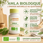 Amla bio 60 gélules Graine Sauvage - Antioxydant, soutien digestif et vitalité naturelle
