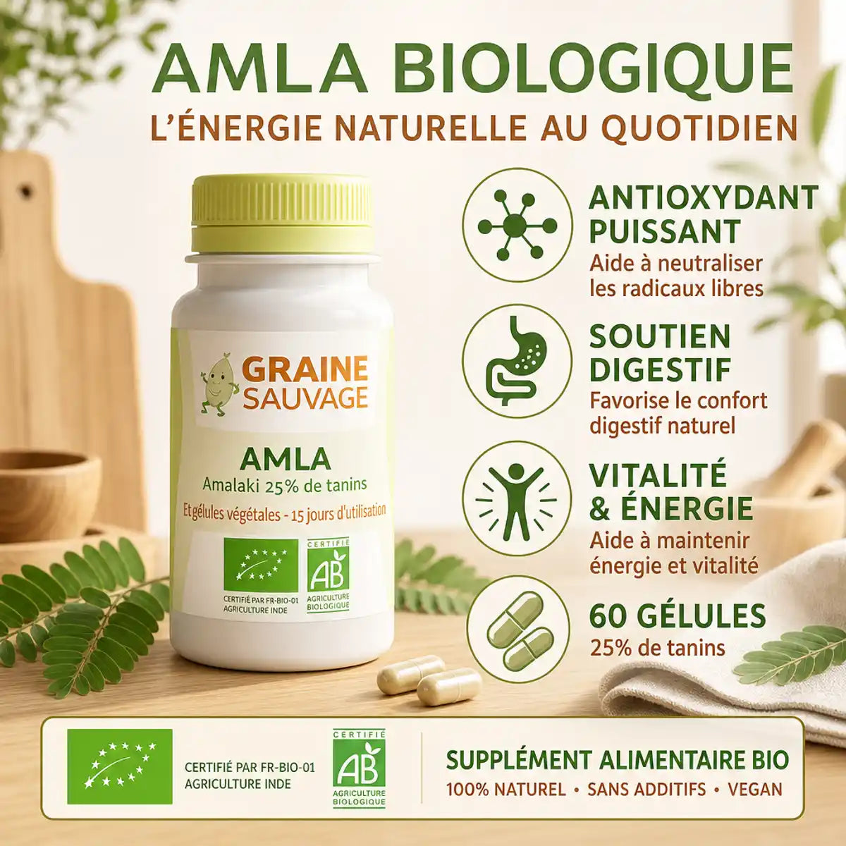 Amla bio 60 gélules Graine Sauvage - Antioxydant, soutien digestif et vitalité naturelle
