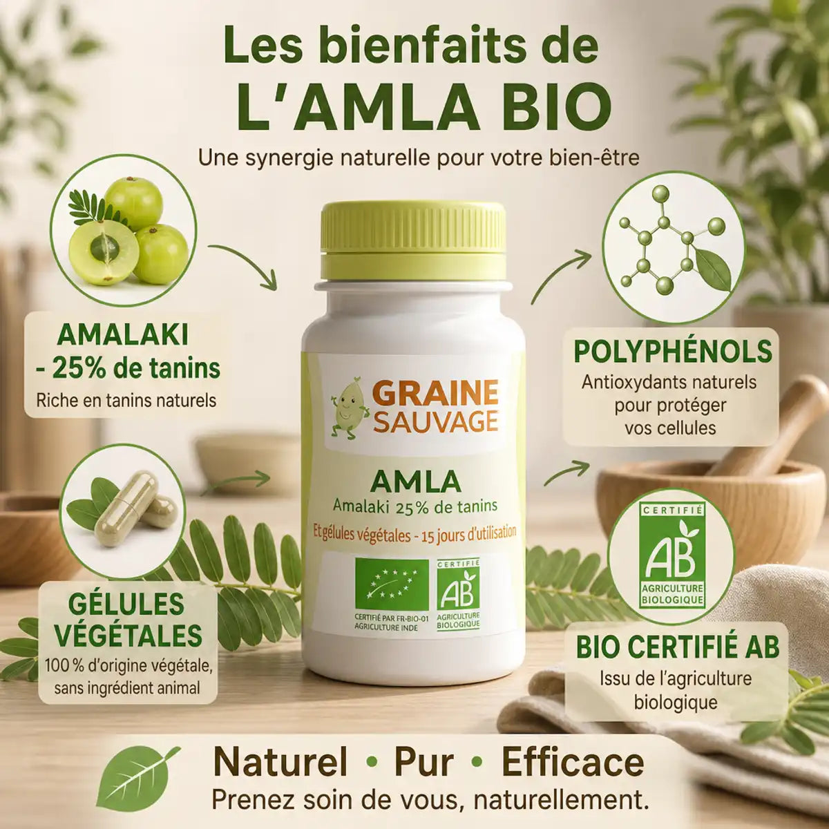 Amla bio 60 gélules Graine Sauvage - Extrait naturel riche en tanins et polyphénols pour la santé