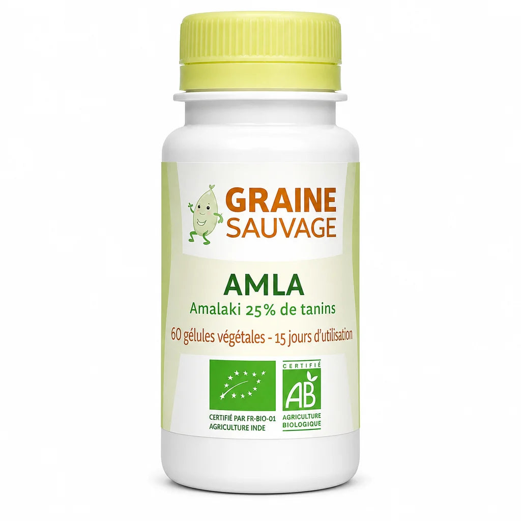 Flacon Amla bio vegan Graine Sauvage 60 gélules avec certification AB sur fond blanc