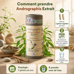 Andrographis extrait vegan 60 gélules Ayur-vana avec posologie et herbes naturelles