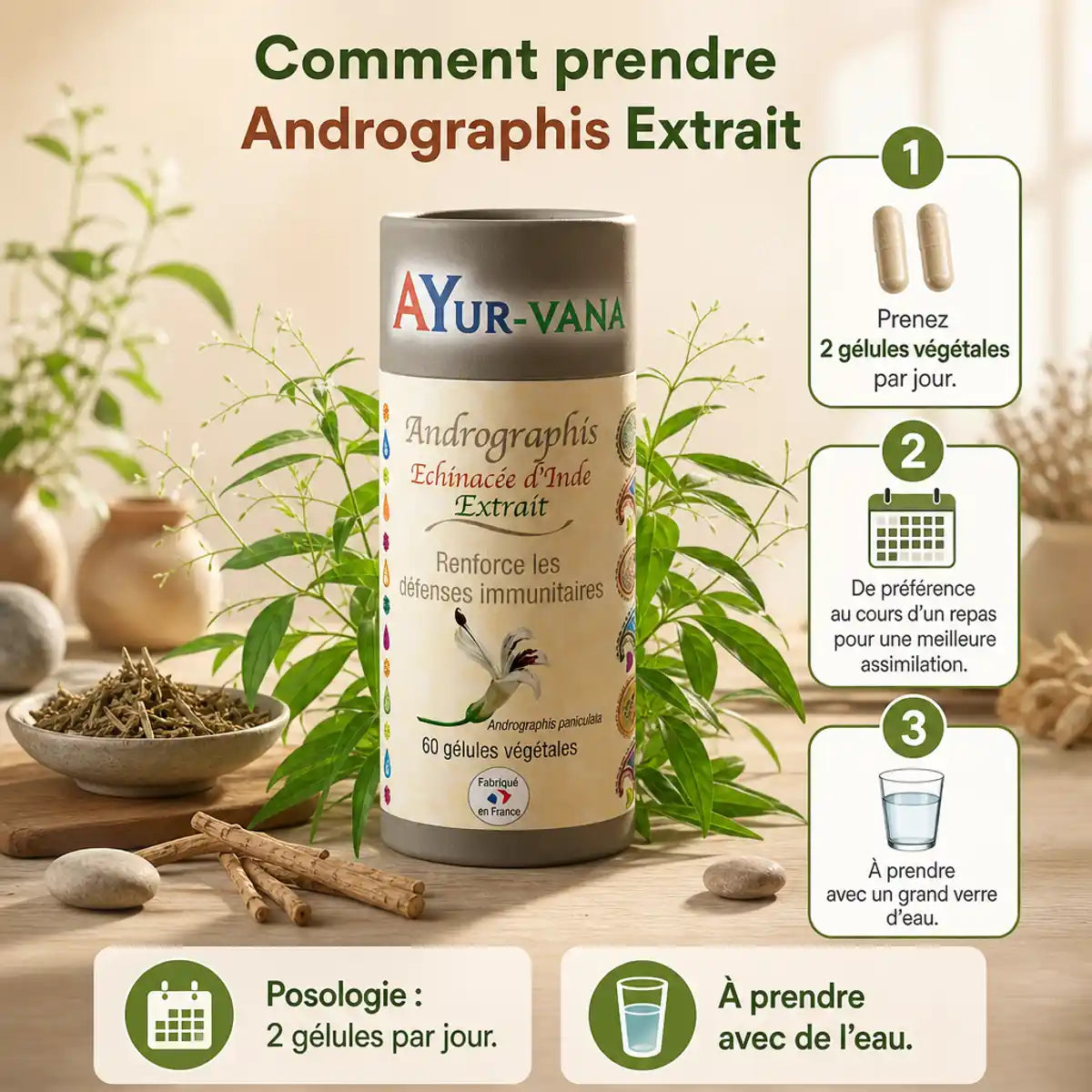 Andrographis extrait vegan 60 gélules Ayur-vana avec posologie et herbes naturelles