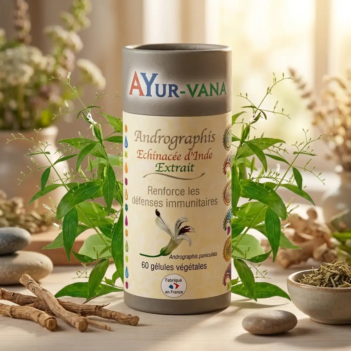 Ayur-vana Andrographis extrait vegan 60 gélules avec plantes naturelles et éléments wellness