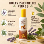 Aromaspray Véto déodorant naturel avec lavande, romarin et eucalyptus - emballage blanc et terracotta