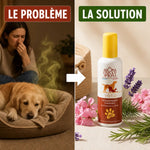 Aromaspray Véto désodorisant : avant/après problème solution avec fleurs et produit blanc