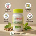 Ashwagandha bio en gélules Graine Sauvage avec bénéfices : stress, énergie, clarté mentale, équilibre émotionnel