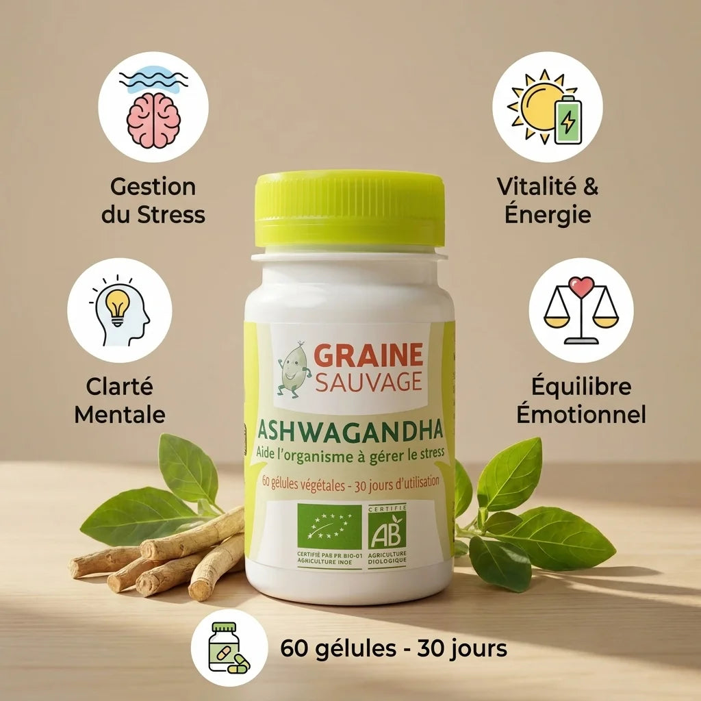 Ashwagandha bio en gélules Graine Sauvage avec bénéfices : stress, énergie, clarté mentale, équilibre émotionnel