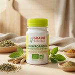 Graine Sauvage Ashwagandha bio en gélules avec racines et feuilles fraîches sur fond bois