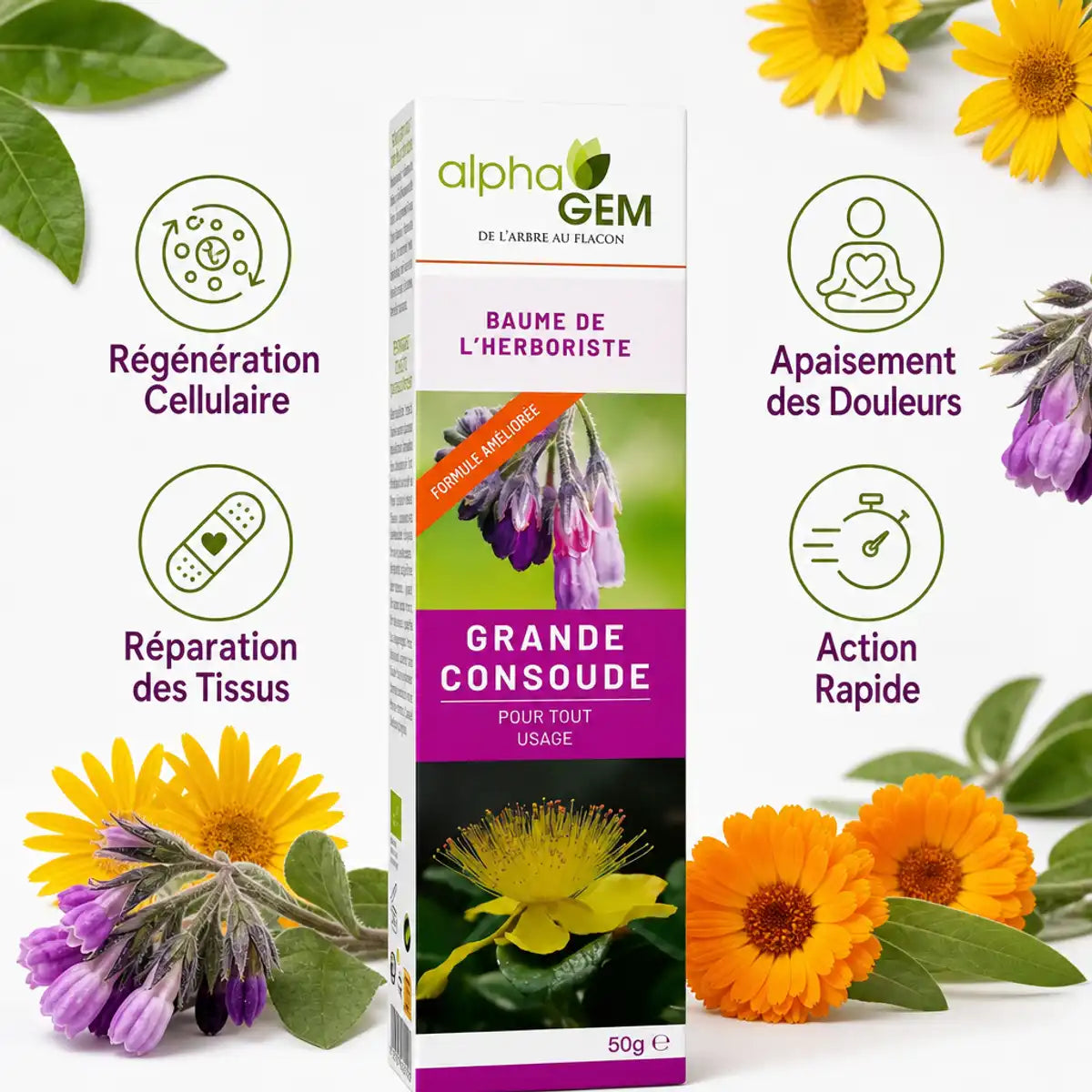 Baume Grande Consoude bio Alphagem avec bénéfices : régénération cellulaire, apaisement douleurs, réparation tissus