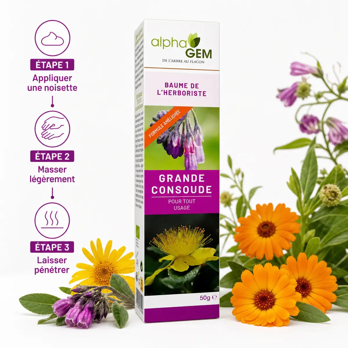 Baume à la grande Consoude bio Alphagem avec guide d'application et fleurs botaniques