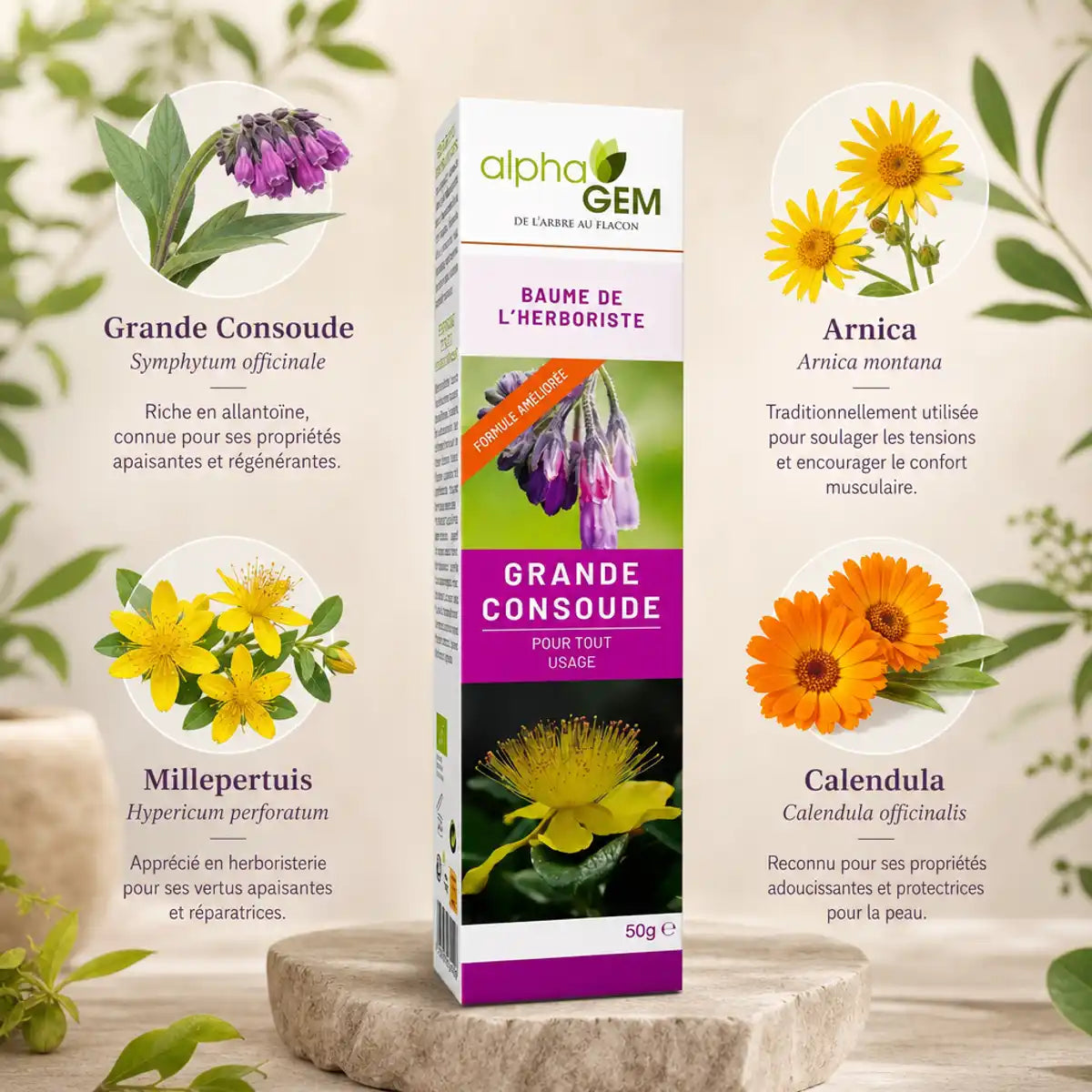 Baume à la grande Consoude bio Alphagem avec ingrédients naturels : Arnica, Millepertuis et Calendula
