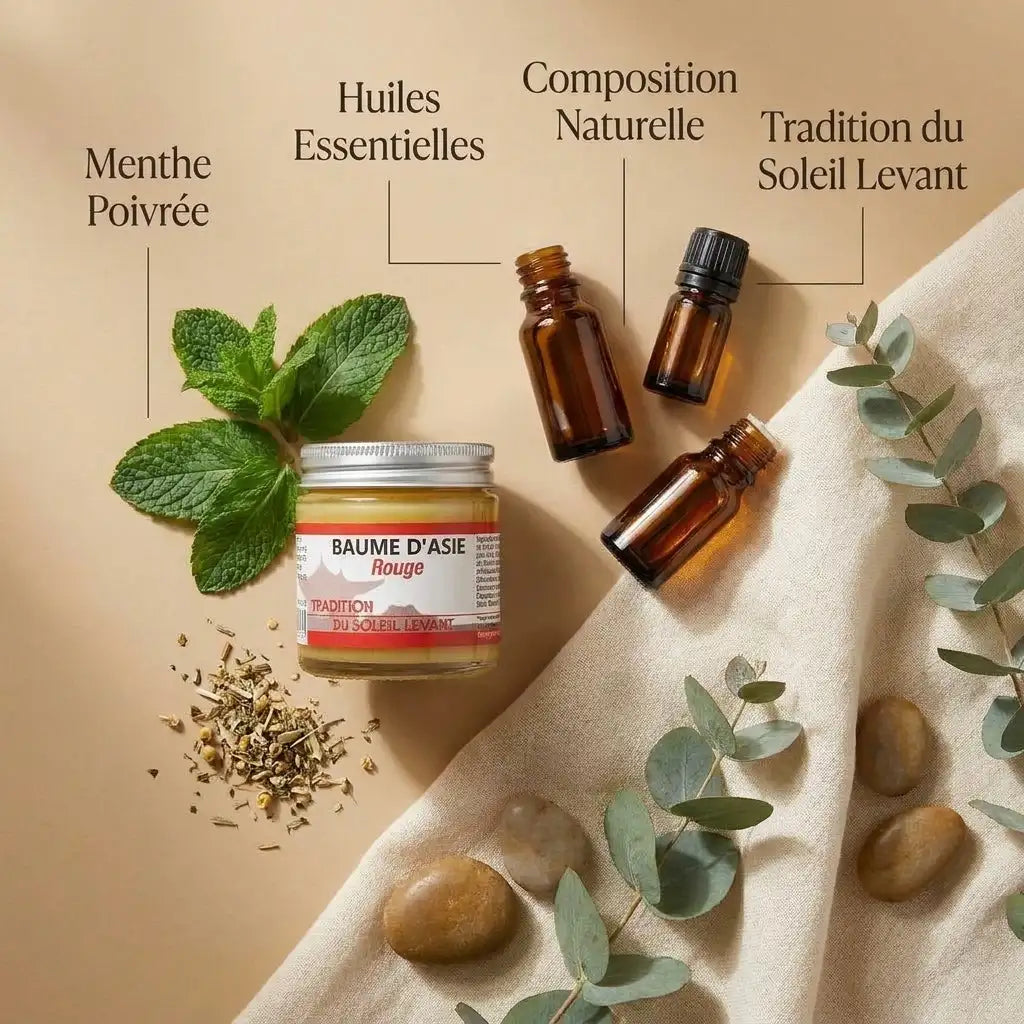Baume d'Asie Rouge en pot avec ingrédients naturels: menthe, eucalyptus et huiles essentielles