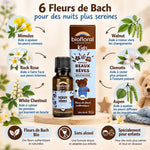 Beaux Rêves Biofloral granules enfants bio sans alcool avec fleurs de Bach