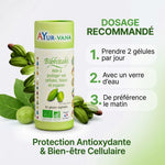 Bibhitaki bio en gélules Ayurvana avec fruits de terminalia bellerica et posologie recommandée