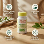 Gélules Bibhitaki bio Graine Sauvage avec bénéfices : antioxydants, digestion, cholestérol et vitalité