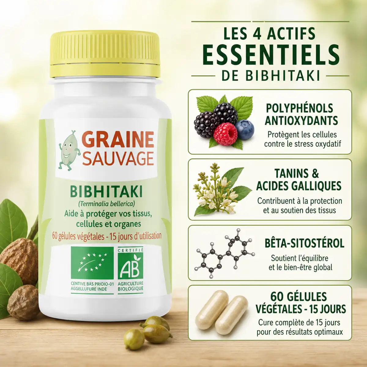 Bibhitaki bio en gélules Graine Sauvage avec infographie des actifs antioxydants et tanins
