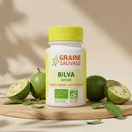 Bilva Bio vegan Graine Sauvage en gélules avec fruits et feuilles sur bois naturel