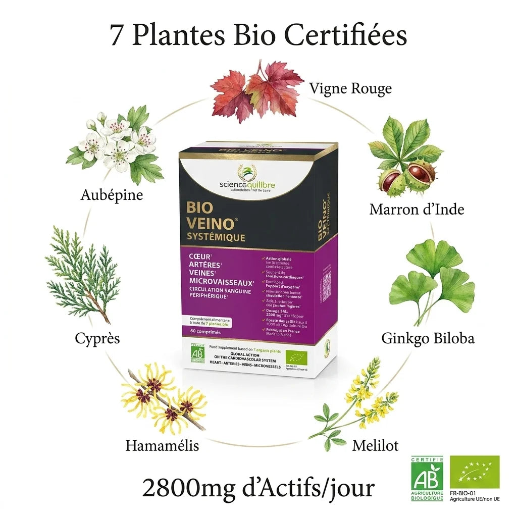 Bio Veino Systémique certifié bio avec 7 plantes actives pour la circulation veineuse