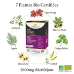 Bio Veino Systémique certifié bio avec 7 plantes actives pour la circulation veineuse