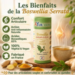 Boswellia Serrata végan gélules Ayur-vana - confort articulaire naturel et anti-inflammatoire