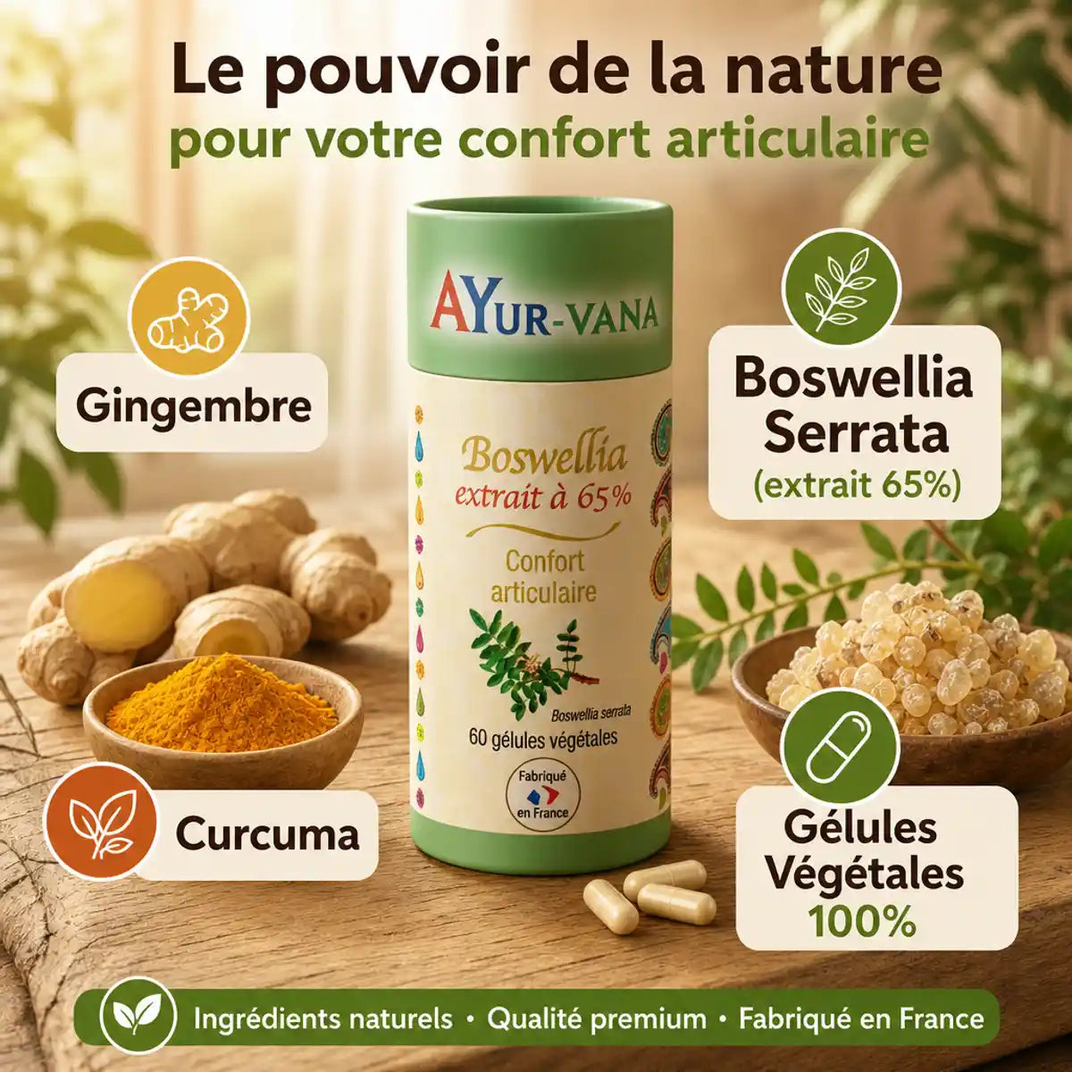 Boswellia Serrata extrait 65% gélules véganes Ayur-vana avec gingembre et curcuma