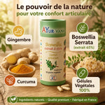 Boswellia Serrata extrait 65% gélules véganes Ayur-vana avec gingembre et curcuma