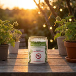Bougie anti-moustiques MoustiCare sur table en bois avec plantes citronelle en arrière-plan