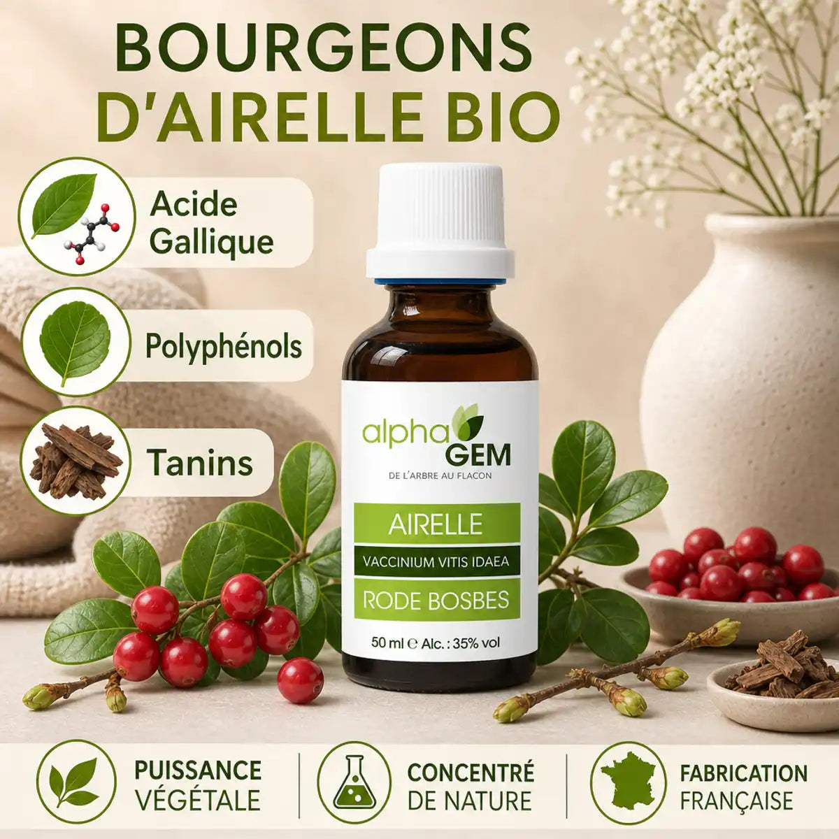Bourgeons Airelle Bio Alphagem - Flacon avec airelles fraîches, polyphénols et tanins naturels