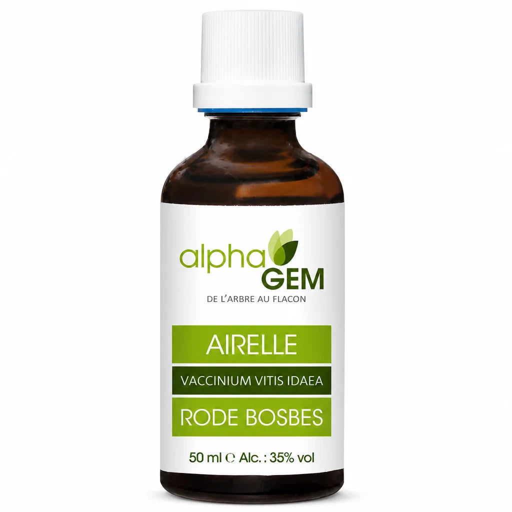 Bourgeons Airelle Bio Alphagem flacon 50ml verre ambré teinture naturelle