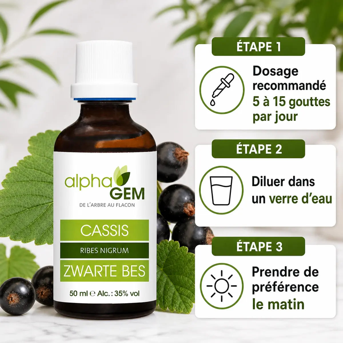 Bourgeons Cassis Bio Alphagem avec baies fraîches et guide dosage 5-15 gouttes