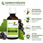Bourgeons Cassis Bio Alphagem - flacon de gemmothérapie avec baies et feuilles, action anti-inflammatoire